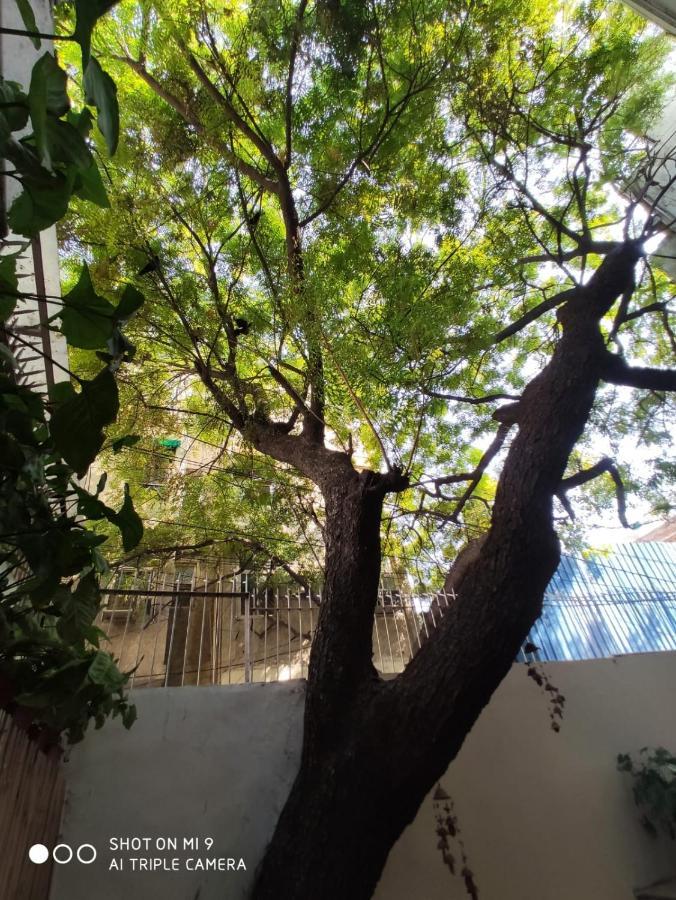 Bed and Breakfast The Neem Neu-Delhi Exterior foto