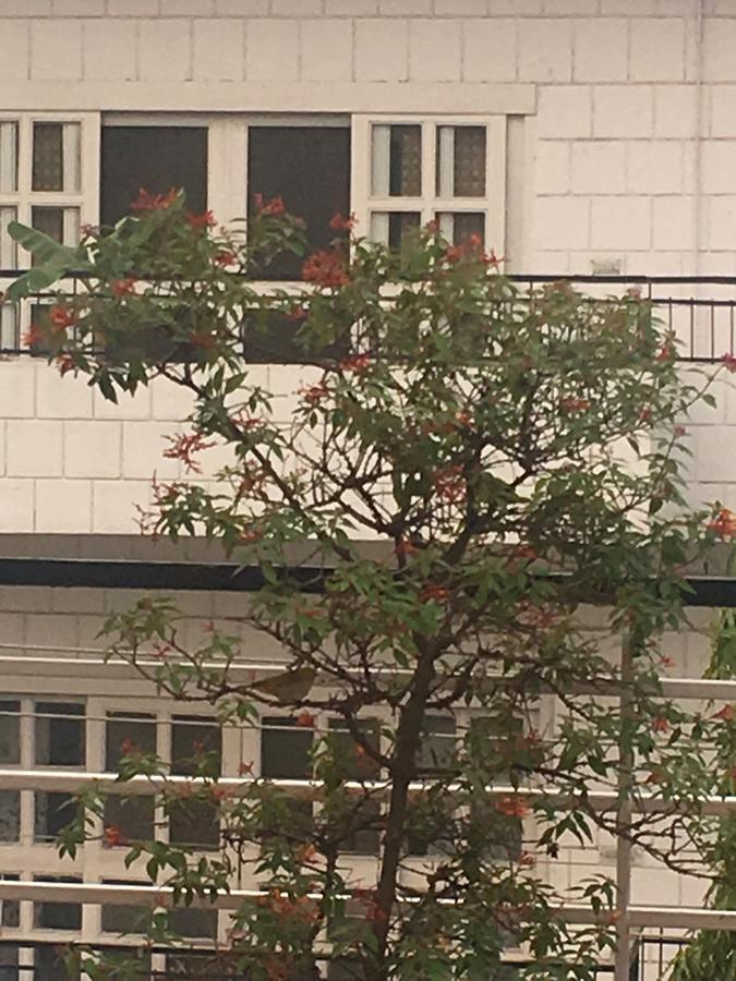 Bed and Breakfast The Neem Neu-Delhi Exterior foto